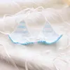 Diseñador Playa Tanga Traje de baño de moda Conjunto de bikini Verano Nuevo Bikini con cordones Traje de rayas azul y blanco Chica sexy clásica Ropa interior de estudiante con amor