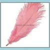 Party Decoration Event levererar Festive Home Garden LL Ostrich Feather Plumes For Wedding Centerpiece Table Dhrxh