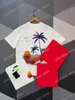 22SS 남자 여자 디자이너 T 셔츠 티 코코넛 바다 일몰 인쇄 인쇄 남자 승무원 목록 패션 스트리트웨어 흑백 XS-L