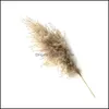 Decorative Flowers Wreaths Festive Party Supplies Home Garden 8Pcs/10Pcs/20 Pcs Real Dried Small Pampas Grass Wedding Flower Bunch Natural