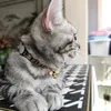 Collari per gatti di design con campana e ciondolo a forma di ape con diamanti, collare classico per cucciolo di gattino regolabile, 9 colori all'ingrosso