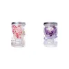 Strings Preserved Flower Night Light Soda Lime Glass Shell Dry String For Thanksgiving Christmas GiftLED LED