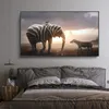 Fil zebra kuş posterleri tuval baskılar hayvan boyama duvar sanat resimleri oturma odası için modern ev dekor yok çerçeve yok