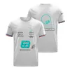 T-shirts voor heren Formule 1 Racing Suit T-shirt F1 Team Racing Suite Sneldrogende ademende ademende ademende aangepaste plus size 2022 Nieuwe stijl BXOX