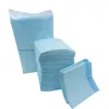 Hundkläder Super Absorbent Cat Urine Pad Disposable Pet Diaper Nappy Paper Diapers Deodorant 50/100 st/väska