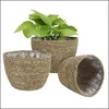 Förvaringskorgar hemorganisation Housekee Garden Handmade rotting Natural Plant Woven Basket Holder Foder Planterare POTS Flowerpot Organize