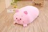 30CM Soft Animal Cartoon Pillow Cushion Cute Fat Dog Cat Totoro Penguin Pig Frog Plush Toy Stuffed Lovely kids Birthyday Gift