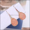 Charm Resin Pink Green Blue Druzy Drusy Designer Earrings Waterdrop Charms Fashion Dangle Earring For Women Drop Delivery Dhseller2010 Dhp3T