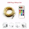 Strips LED WS2812B STRING Strip Licht WS2812 IC Individueel adresseerbare RGB -module 100LED/M DC5V Kerstverlichting