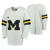 Maglie da hockey su ghiaccio del Michigan Wolverines College Maglia da uomo Jake Slaker Strauss Mann Nick Pastujov Griffin Luce Luke Morgan Cucita personalizzata