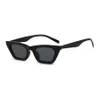 CAT EYE SUNGLASSES WOMEN039S LITA RAME EYEAR NYA MEN039S Fashion Retro Personlighetsglasögon Hela 20229862984