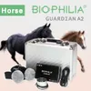 Health Gadgets Biophilia Guardian A2 Bioresonance Resonance NLS Analyzer Work Horse Machine