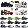 TN plus terrascape hardloopschoenen voor mannen zonsondergang gradient trainers witte kumquat zwarte jachthaven sneaker tns roze wintertaal volt Hyper Jade Oreo Jorda Jordens