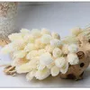 Декоративные цветы венки натуральные сухой цветочный драгоценный камень Трава сухой букет на дому