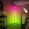 Golvlampor 110V 220V Remote Control RGB Symphony Lamp vardagsrum Enkel färgglad 24W LED -strip atmosfär hörn lampor