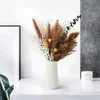 Decorative Flowers & Wreaths Bulrush Natural Dried Dry Plants Small Flower For Decoration Fall Wedding Home Decor Real Pampas Grass In Bouqu