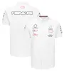 Camicie F1 2023 Formula 1 Team Driver Polo Camicia da uomo estiva da corsa Fans Camicia casual con bottoni Motocross Jersey Car Logo Tops