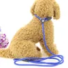 Dog Collars & Leashes Durable Slip Lead Leash With Adjustable Metal Slide Toggle Reflective Mountain Climbing Rope Training LeashDog