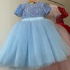 Nieuwe Collectie Bloem Meisjes Jurken Voor Bruiloft Lovertjes Eerste Heilige Communie Jurken Baby Tutu Kant Baljurk Kleine Meisjes Pageant Towns