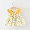 Summer Toddler Girl Dress Clothes Set Baby Beach Dresses Cute Bow Plaid ärmlös Cotton Nyfödd prinsessklänning+Sunhat