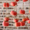 Decorazione per feste con simulazione di gelo cachi appesi finti frutti rossi autunnali famoso soggiorno cachi