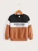 Toddler Boys Slogan Graphic Colorblock Bluza ona