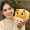 スクエアラブファットキャットぬいぐるみ人形柔らかいかわいい大きな顔の猫ラグドール子供のためのラグドール