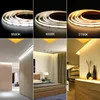 CCT COB LED Strip Lights عالية الكثافة 608 LEDS/M مرنة Dimmable FOB LED شريط 2700K إلى 6500K إضاءة LED DC12V 24V