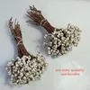 Ghirlande di fiori decorativi Dongliflower Bacche di sego essiccate naturali reali Stelo Bacca bianca Ramo per centrotavola di fiori di Natale di nozze