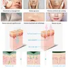 2-in-1-Mikrodermabrasion Aqua-Gesichtspeeling-Maschine, Tiefenreinigung, Gesichts-Akne-Behandlung, Hautpflege
