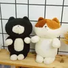 Cm Nuovo morbido peluche in bianco e nero Cat Toys Cartoon carino peluche per bambini Regali di compleanno J220704