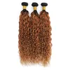 100 Pouleau d'onde d'eau de cheveux vierges non transformés avec fermeture T1B430 Ombre mouillées et ondues avec 4x4 fermetures 4pcs Remy 3542242