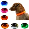 Colliers pour chiens laisses collier lumineux pour animaux de compagnie nuit sécurité clignotant réglable pour petit chat brillant PerroDog laisseschien