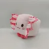 Children toys Stuffed Animals & plush 15cm cute cat Dolls Surprise Birthday Gift For Children