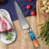 YUZI 7Pcs Kitchen Knives Set Damascus Steel VG10 Chef Cleaver Paring Bread Knife Blue Resin and Color Wood Handle