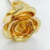 Fiori decorativi GATHONS REAL NATURA ROSA 24K GOLD GOLD INDUCED Fiore artificiale con scatola regalo rosso per amante