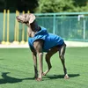 Vestuário de cachorro grande capa de chuva roupas impermeáveis ​​para traje de casaco grande golden retriever labrador com capuz de capuz de roupas de estimação