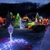 Corde 12V Outdoor Multicolor Festival Decorazione della festa nuziale Filo di rame Fata Ghirlanda LED String LightLED