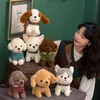 Pc Cm Styles Beautiful Teddy Husky Chihuahua Plush Toy Stuffed Soft Kawaii Animal Cartoon Dolls Gift For Kids Baby Children J220704