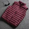 Masculino para masculino parkas parkas outono e inverno masculino boutique pato penas de penas casuais colares colares colete / macho leve