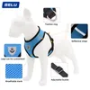 Hundehalsbänder, Leinen, Gittergeschirr, Leine-Set, personalisierte reflektierende Haustier-Polyester-Tuchweste für kleine Hunde, Kawaii-Zubehör