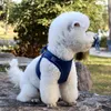 Collari per cani XS-XL Imbracatura con guinzaglio Gilet riflettente regolabile per animali domestici Guinzaglio da passeggio per forniture di cinghie toraciche per cuccioli