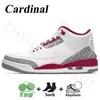 Jumpman Cardinal Red 3 3s Mens Basketball Skor Pine Grön 3m Svart Röd Cement Tinker UNC Varsity Royal Pure White Cool Grey Ma Men Sport Sneakers