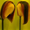 Spets peruker markerar bob peruk färgat mänskligt hår brasiliansk ombre frontal 13 1 t del kort för kvinnor