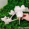 Zapatos de boda blancos Zapatos de novia de la altura de la cinta femenina de aguja de aguja de tacones de aguja puntiagudas