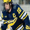 Nik1 Özel Michigan Wolverines 13 Zach Werenski Coperge Hokeyi Dikişli Formalar 7 Nick Blankenburg 14 Josh Norris 74 Nicholas Boka