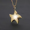 Collane con ciondolo Scintillante oro puro Placcatura sottovuoto Charm Dubai Africa Star Collana per uomo Gioielli da donna Ciondolo