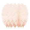 Décoration de fête 10pcs / lot plumes d'autruche multicolores naturelles mariage maison bricolage plumes flottantes table pièce maîtresse artisanat 5gpartie