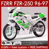Yamaha FZR250RR FZR250-R FZR-250R FZR250R 96-97 차체 144NO.118 FZR-250 FZR250 R RR 1996 1997 FZRR FZR 250R 250RR FZR 250 R RR 96 97 페어링 그린 스톡