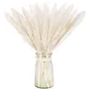 Couronnes de fleurs décoratives herbe de Pampas naturelle moelleux petits roseaux Bouquet Boho salon décoration queue séchée pour mariage décoratif De